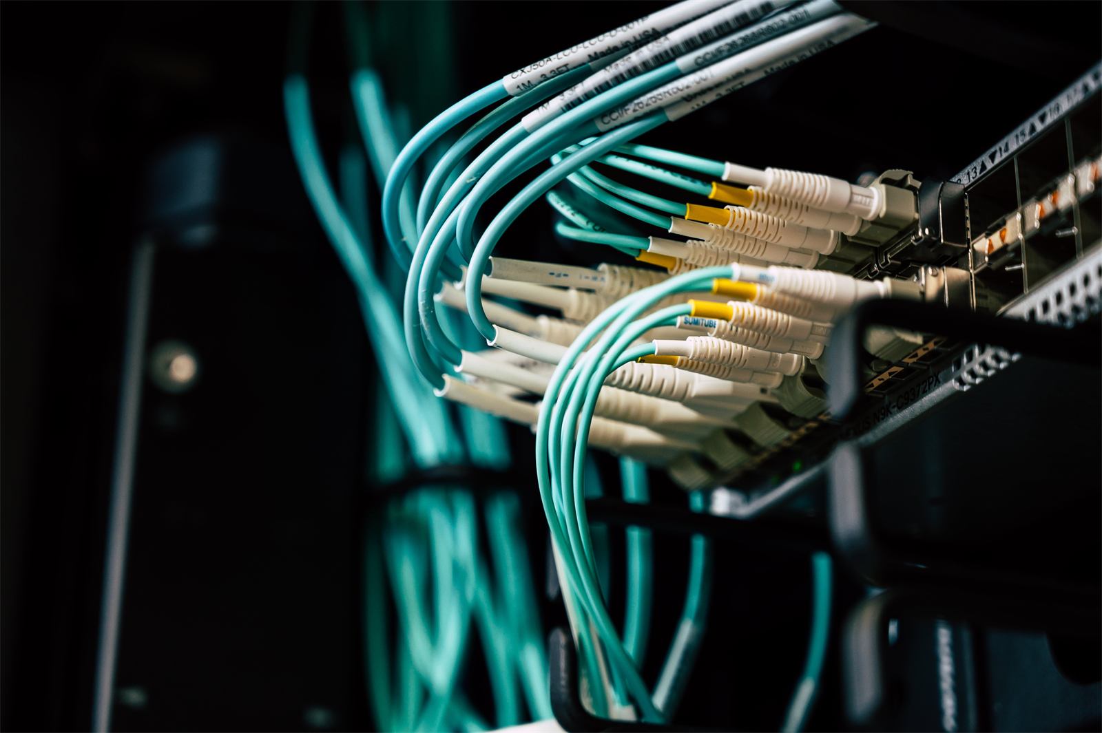 Fiber-optic patch cables in a network switch in a data center